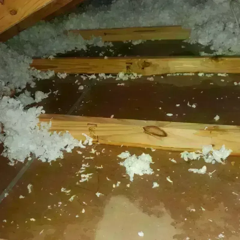 Attic Water Damage in Boaz, AL