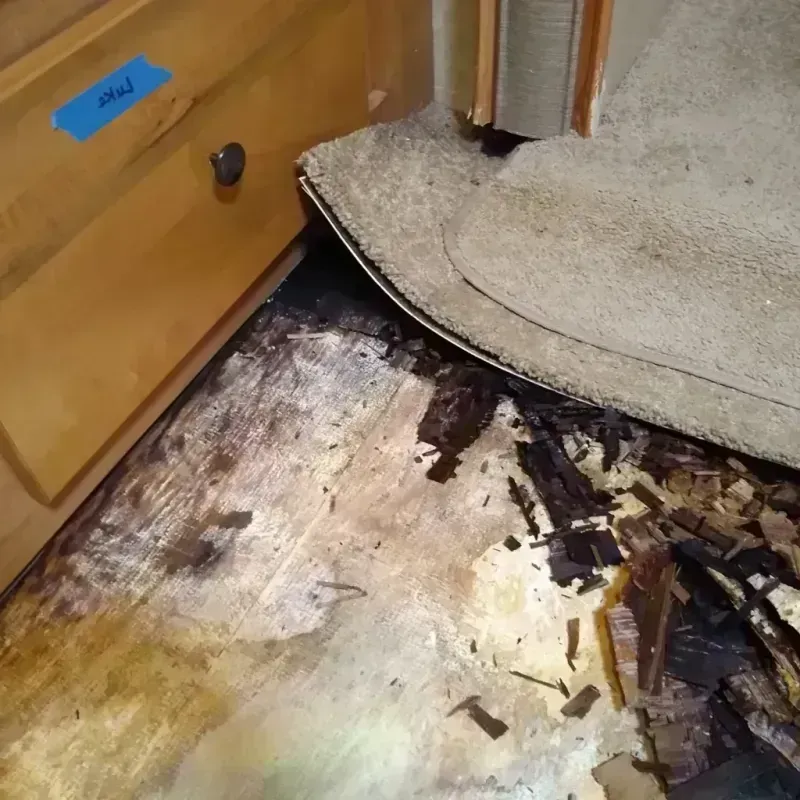 Best Wood Floor Water Damage Service in Boaz, AL